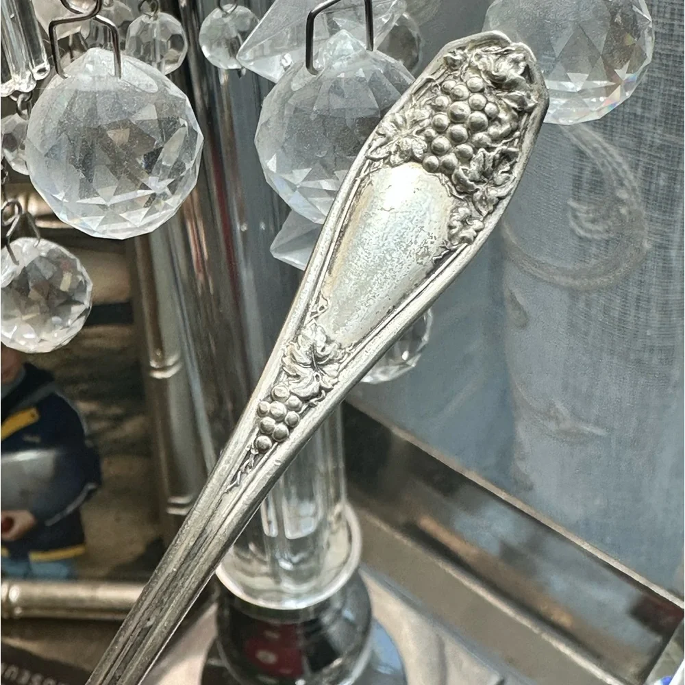 Vintage R. C. Co. 1913 Isabella Grape Pattern Sauce / Gravy Ladle / Spoon.
